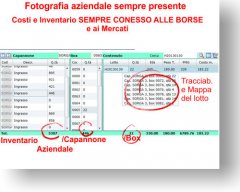 05Ingrasso (7).jpg